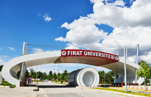 Fırat Üniversitesi 11 Akademik Personel Alacak