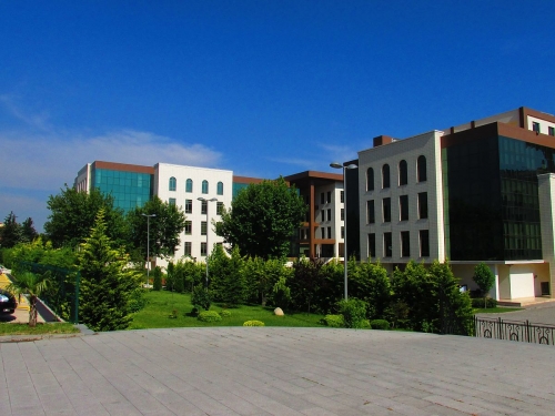 Bursa Teknik Üniversitesi 4 Akademik Personel Alacak