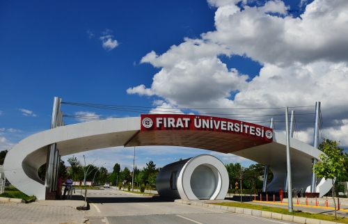 Fırat Üniversitesi 2 Akademik Personel Alacak