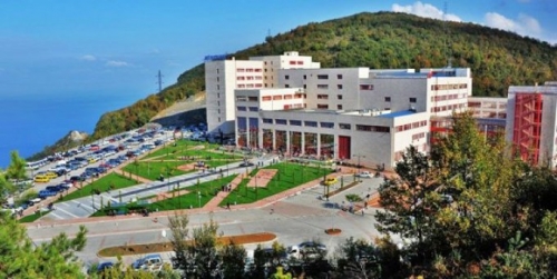 Bülent Ecevit Üniversitesi Öğretim Üyesi Alımı