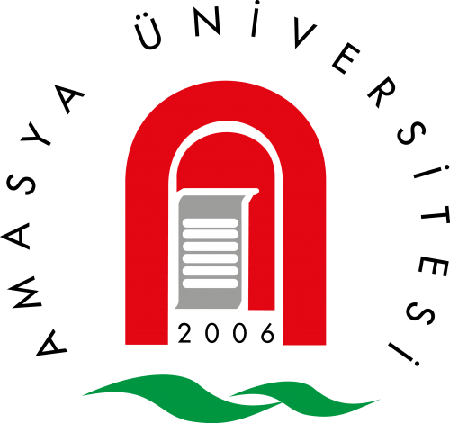 Amasya Üniversitesi 7 Akademik Personel Alacak
