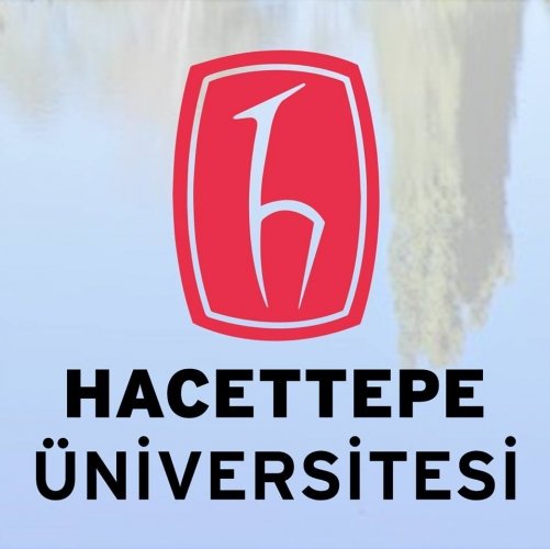 Hacettepe Üniversitesi 2 Akademik Personel Alacak