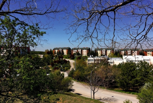 Hacettepe Üniversitesi 2 Akademik Personel Alımı Yapacaktır