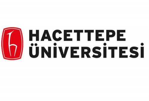 Hacettepe Üniversitesi Araştırma Görevlisi Alacak