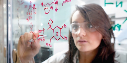 Newton-Kâtip Çelebi Fonu İkili İşbirliği Programı Çağrısı