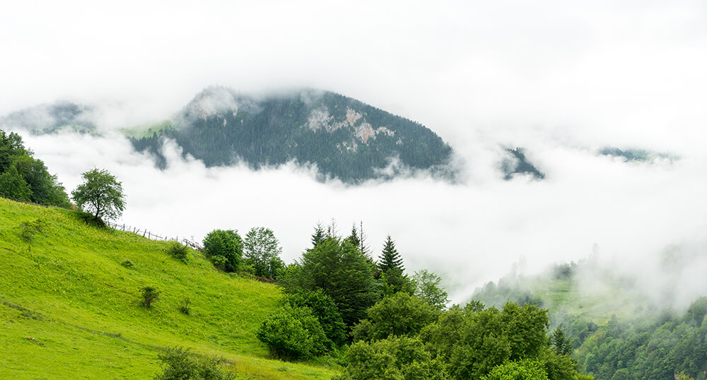 Giresun YÖKDİL Kursu