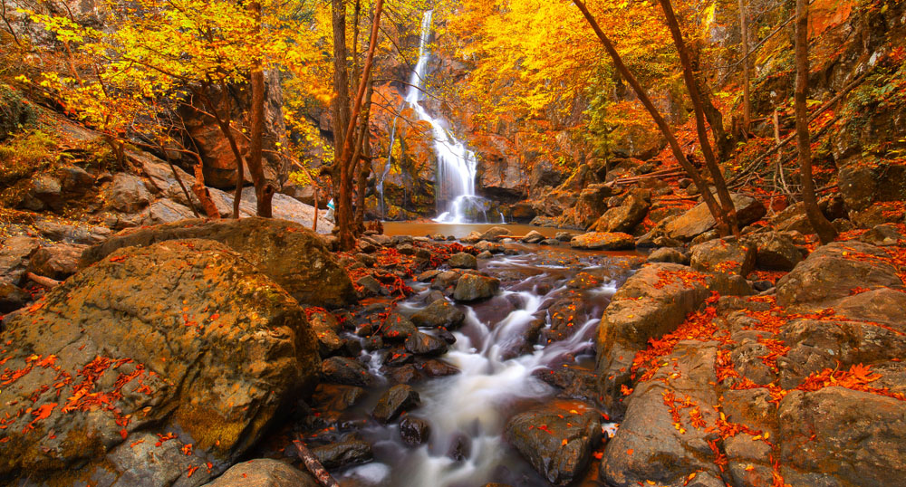 Yalova YÖKDİL Kursu